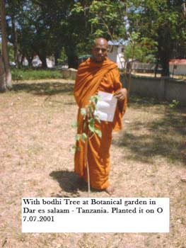 2001.07.07 a Bodhi sapling planted in Botanical garden at dar es salaam in Tanzania.jpg